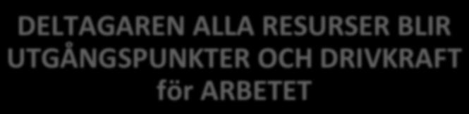 UTGÅNGSPUNKTER OCH DRIVKRAFT för ARBETET QARIN FRANKER 20160315