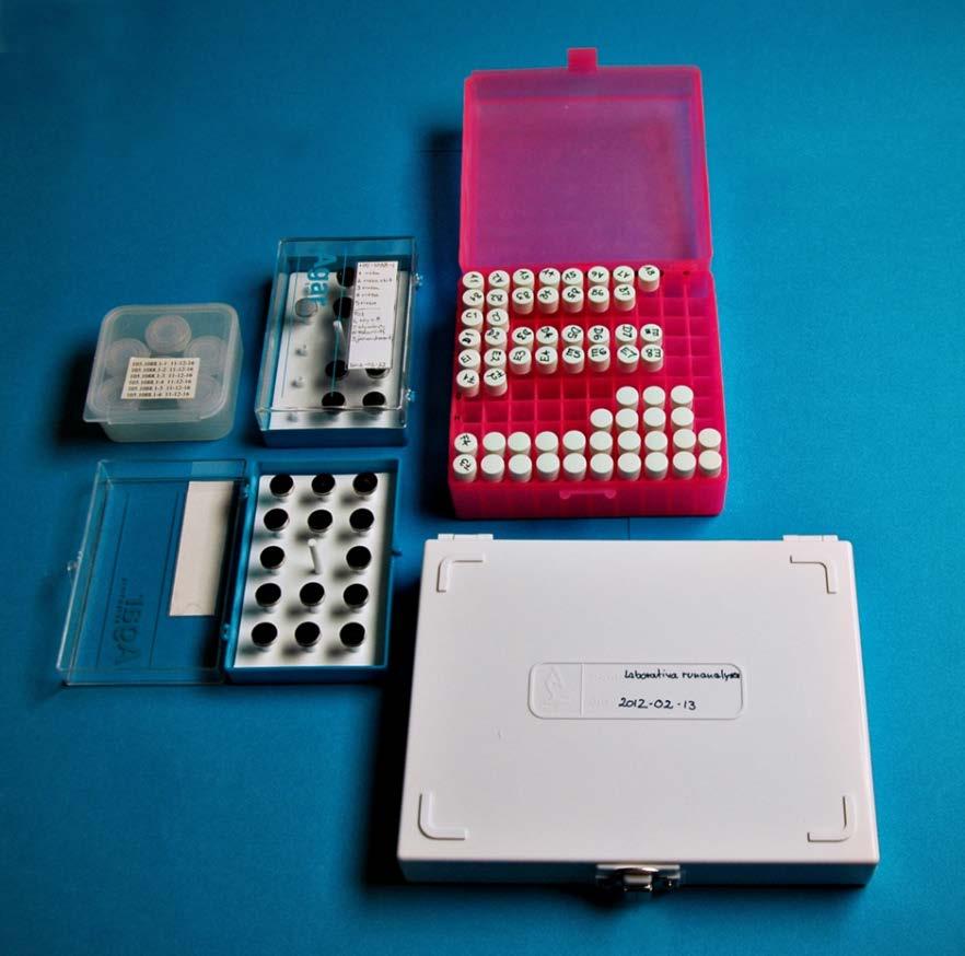Laborativa runanalyser I: Pigmentanalyser 8 Metoder Primärt har hela stenens yta detaljstuderats under mikroskop, dels för att hitta representativa ställen för provtagning, dels för att upptäcka