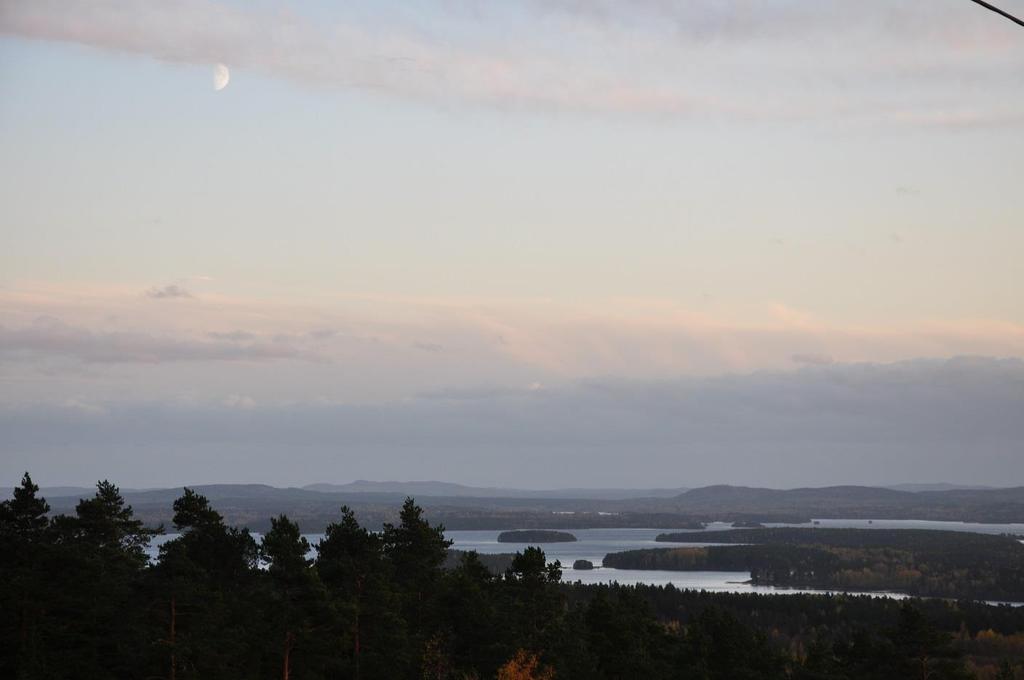 Redovisning Självskattad hälsa Förlossningsrädsla -