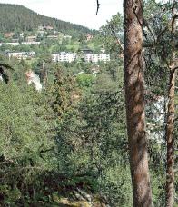 friluftsliv och rekreation Närskogar finns bland annat i anslutning till tätorter, småorter och turistattraktioner.