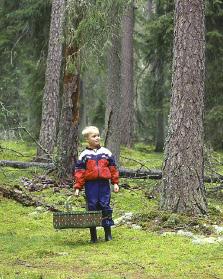 foto: kristian svedberg målbild för friluftsskogar Attraktiva friluftsskogar lockar till ett varierat och aktivt friluftsliv samt erbjuder varaktigt tillgång till skog med höga upplevelsevärden.