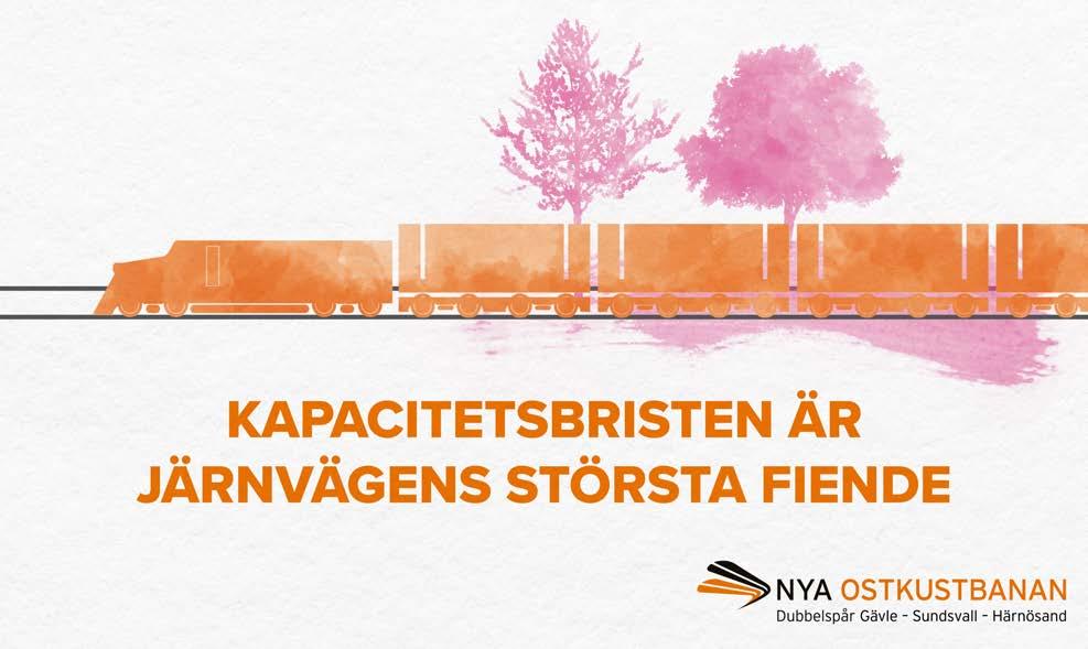 SJ menar att med Nya Ostkustbanan skulle hälften av alla flygresor som görs längst från södra Norrland ersättas med tågresor.