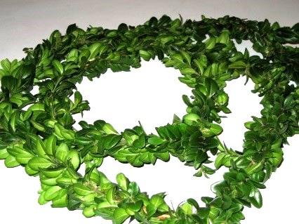 November 1 november Livets gång och hjärtats sång Sjung tillsammans. Visor, trubadurtoner, gamla schlagers och psalmer med tänkvärda texter.