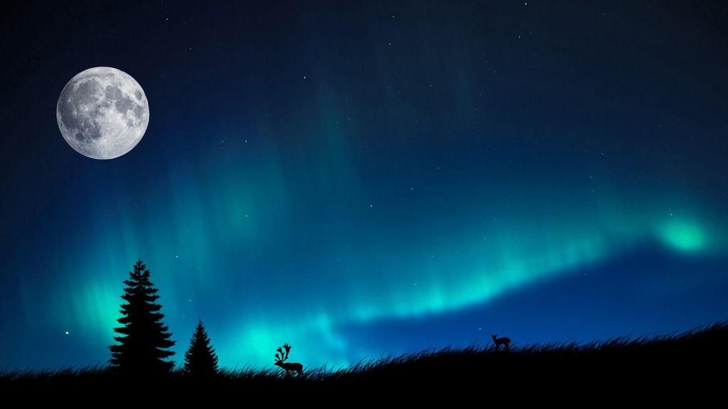 Skogen och vildmarken är temat för många företag i