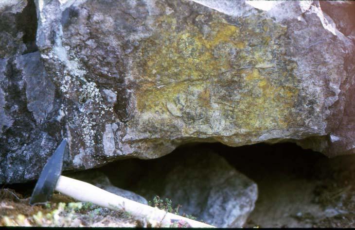 Uranium appears in all geological environments. Uranium is easily dissolved, mobile and often precipitates in a reducing environment.