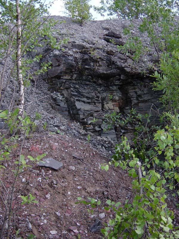 Alum shale, coaly and oil bearing black shale, which contains uranium, vanadium, molybdenum and nickel. The worlds largest reserve of uranium of class 3.