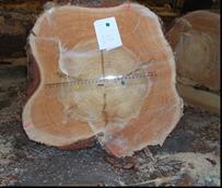 Utvecklingen föranleddes av att mätramstillverkarna fått en metod för automatisk diametermätning under bark godkänd varvid valfria diametermått under bark skulle kunna bestämmas.