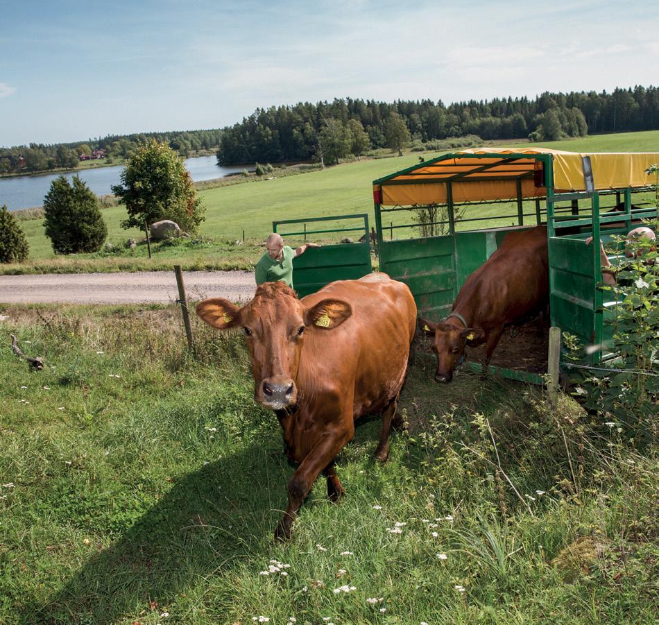 Samverkan som stärker Länsförsäkringar Blekinge Länsförsäkringar Blekinge äger tillsammans med de övriga länsförsäkringsbolagen Länsförsäkringar AB, med kontor i Stockholm.