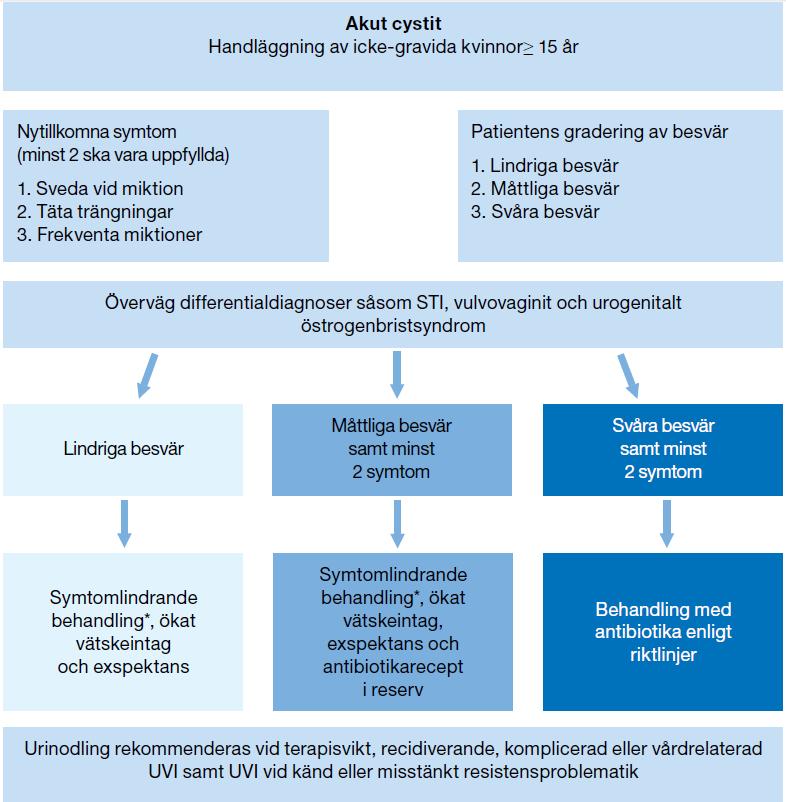 Handläggning akut cystit hos icke-gravida