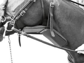 Utrustning får inte sticka ut framför hästens nos och störa målfoto. Mekaniska anordningar för utvidgande av hästens luftvägar är inte tillåtet.