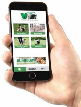 Duktig hund! SKKs nya app med träningstips Svenska Kennelklubben har tillsammans med Better Dog Academy utvecklat appen Duktig hund!