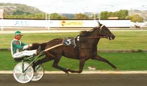 Start :0 LOPP Bankod 0 b ODDS TVILLING Legolas Minne Gulddivisionen, Försök i Meeting (Final Solvalla december) -åriga och äldre lägst 00.00 kr. 0 m. Autostart. Pris: 0.000-.