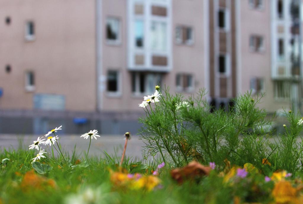 Hyresgaranti Syftet med en kommunal hyresgaranti är att ge stöd till hushåll som har ekonomisk förmåga att klara kostnaderna för ett eget boende men som trots detta har svårt att etablera sig på