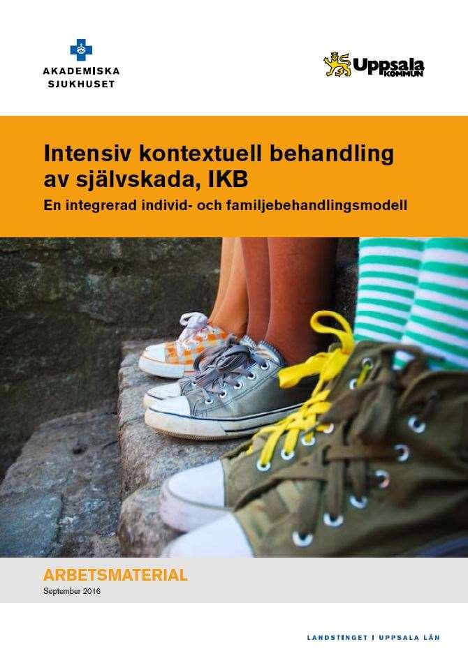 3 FOKUS I BEHANDLINGEN Individ Familj Kontext Behandling enligt IKB har fyra mål: Öka frekvensen av effektiv känsloreglering