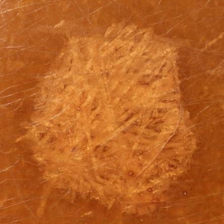 h. Figure 26 Laminate IV-B after five days of drying after the exposure.