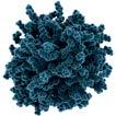 29 PROJEKT TUMORAD I utvecklingsprojektet Tumorad laddas nanopartiklar med radioaktiva isotoper och ger därmed möjlighet till invärtes strålterapi, så kallad radionuklidterapi, mot cancer.