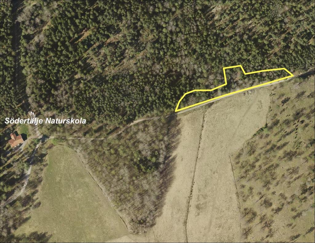 12 (18) 4. Naturskolan (Lina) Kommunägd mark Ett område precis norr om Lina naturreservat som vi jobbat med tidigare. 2 större ekar och ca 4 stycken yngre ekar har gynnats.