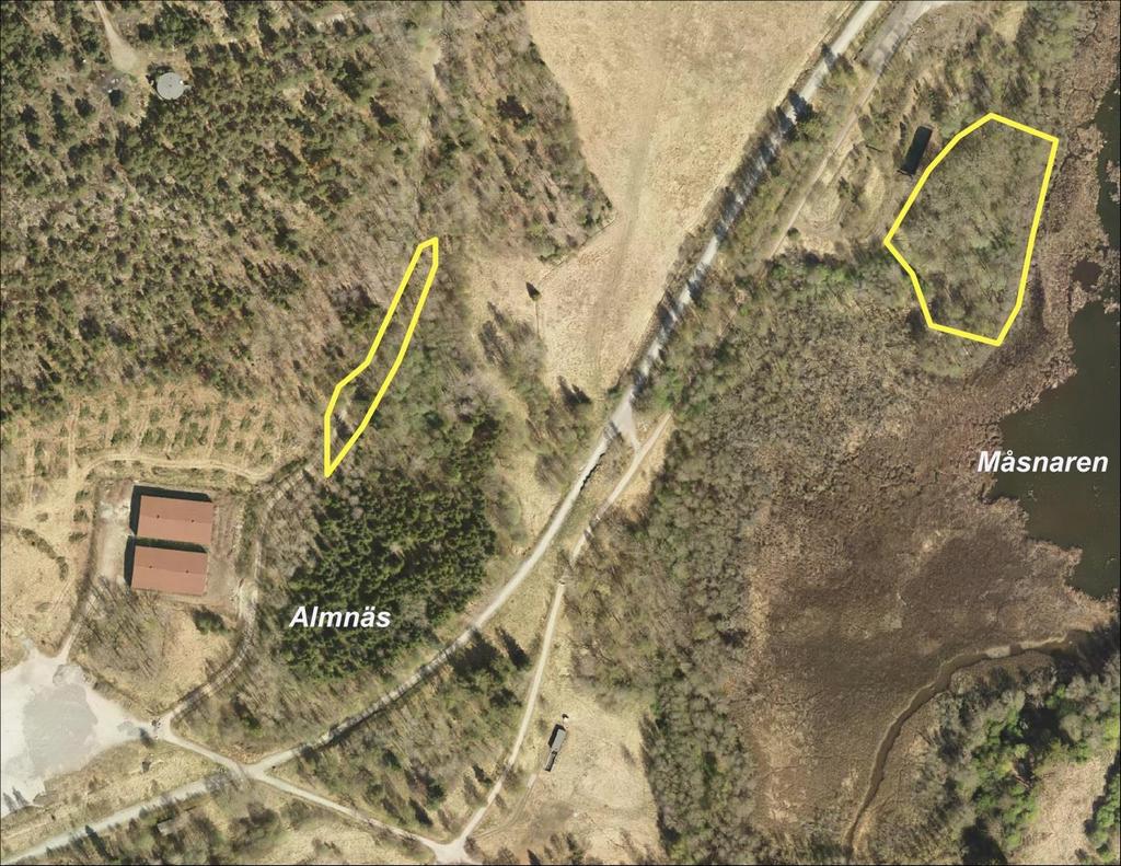 6 (18) 1. Almnäs (Nordväst om Måsnaren) Kommunägd mark I Almnäs har vi tidigare jobbat med friställning av framförallt ek så årets gallringar är en fortsättning. Arbetet har utförts i två områden.