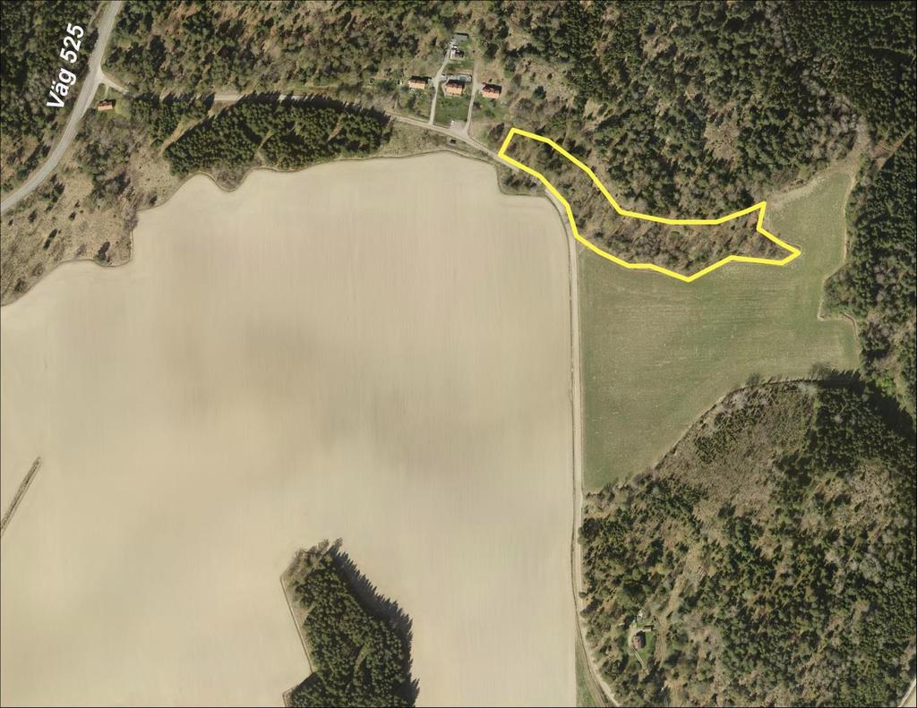 8 (18) 2. Brandalsund Hos privat markägare längs vägen ner mot Brandalsunds naturreservat. I området så finns det mycket ekar i varierande storlek. Några har börjat bli vidkroniga med grövre stam.