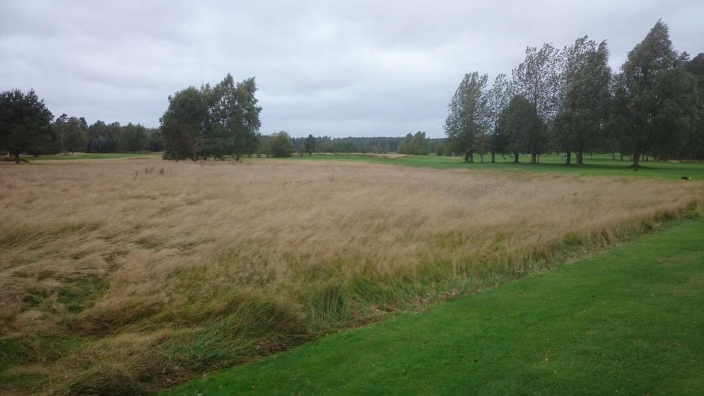 Bakgrund Vara-Bjertorp GK är belägen mitt på Västgötaslätten. Klubben bildades 1987 och banan invigdes 1990. Banan är en park och skogsbana i slottsmiljö.