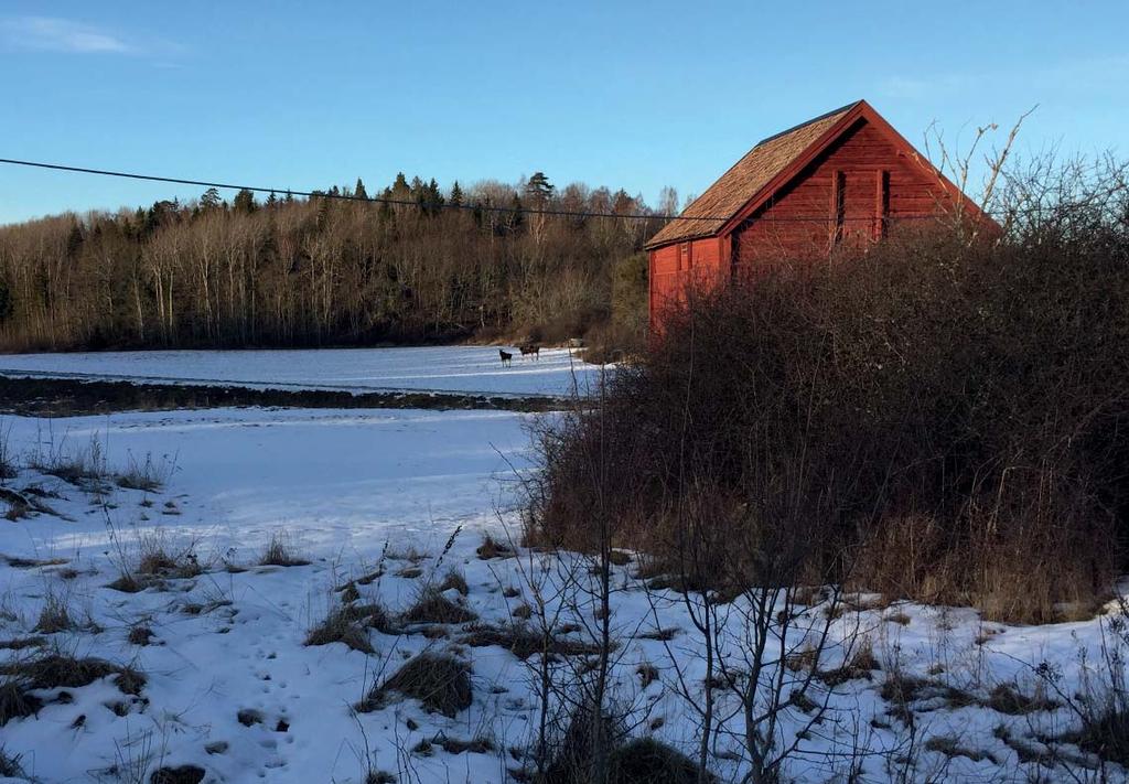 Foto: Gunnar Tellås Vy över landskapet och Magasinet FYSISKA FUNKTIONER Det fi nns många metoder för att beskriva och analyser en orts fysiska strukturer.