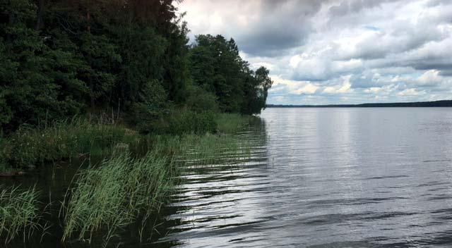 Foto:Emelie Bergström Arnö - en harmonisk ö i Mälaren Arnö är en lugn och harmonisk ö, beläget i Mälaren mellan Enköping och Strängnäs.