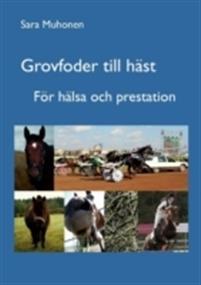 Grovfoder till häst PDF ladda ner LADDA NER LÄSA Beskrivning Författare:. Dricker hästen mer eller mindre när den äter blött ensilage? Vad händer när hästen får ett överskott av protein?