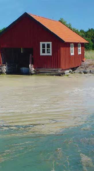 VATTNETS KEMI OCH BIOLOGI BLÅGRÖNALGER