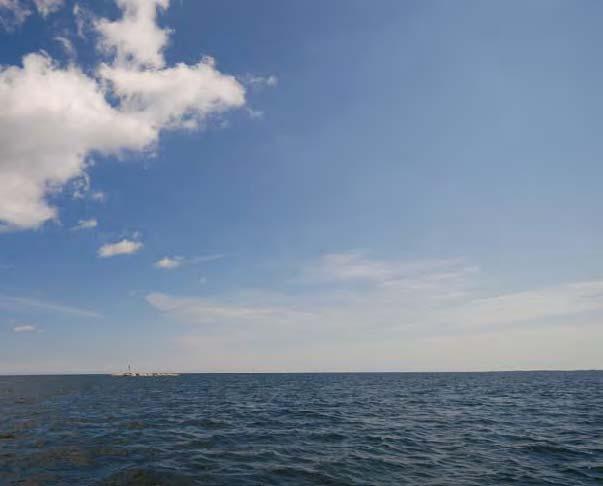 VATTNETS KEMI OCH BIOLOGI FAKTA Dataunderlag och statistik Östersjön-Västerhavet Svenska data hämtade från ICES databas samt medelvärden 1 m från SMHIs databas SHARK.