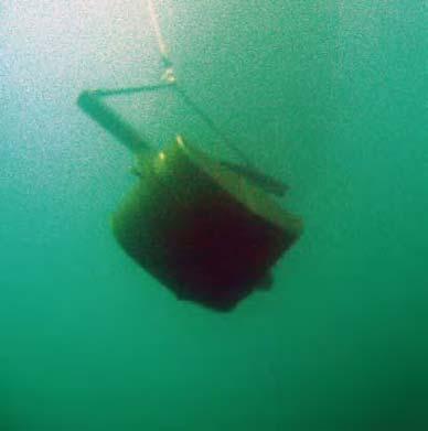 LIVET PÅ BOTTNARNA Känslig bottenfauna tappar mark JAN ALBERTSSON, UMEÅ MARINA FORSKNINGSCENTRUM / HANS CEDERWALL, STOCKHOLMS UNIVERSITET Bottenfaunasamhället i Östersjön har förändrats på senare tid.