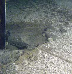 GIFTER I HAVSMILJÖN Sedimenten visar kemikaliers spridning INGEMAR CATO, SGU Sedimenten i Sveriges havsområden ger oss möjlighet att spåra oss tillbaka till tiden före industrialismen, ja till och