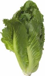se MEDLEM 10k/kg 20k/st CLEMENTINER