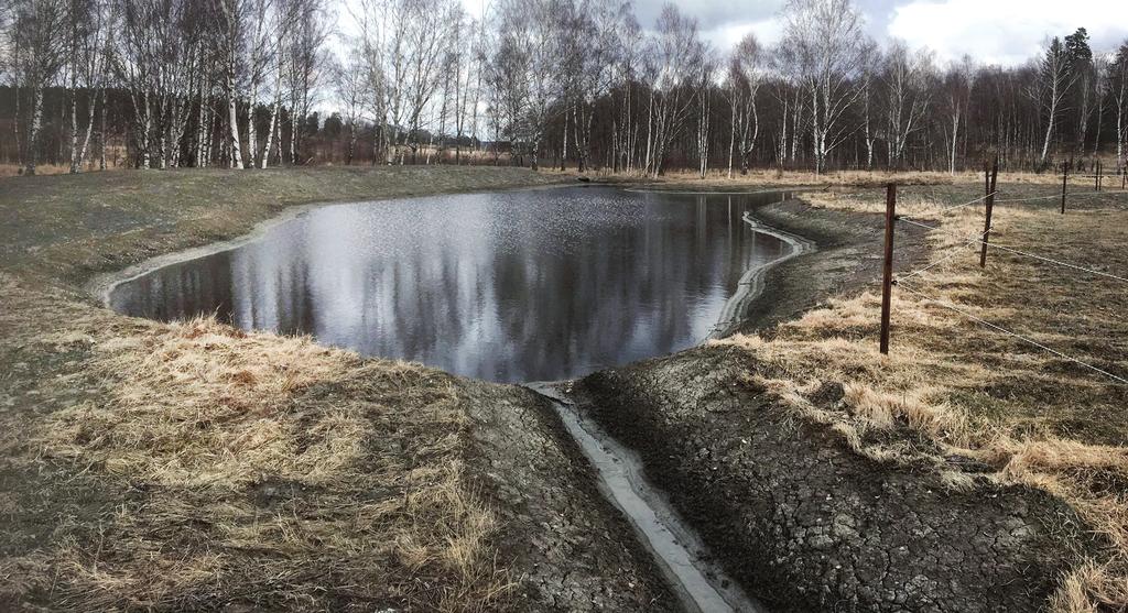 Fosfordammar Att anlägga en fosfordamm är också ett alternativ då dessa är effektiva på att rena det avrinnande vattnet från fosfor och jordpartiklar.
