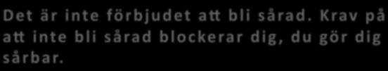 EXEMPEL PÅ INRE SPEGLING D e t ä r i nte fö r b j u d e t a E b l i s å ra d.