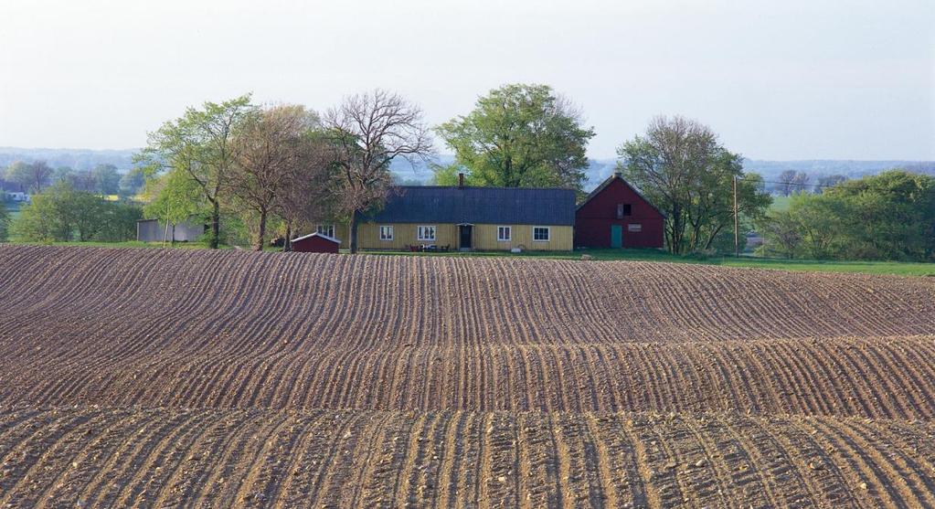 Divisionen har sin bas i Sverige, men är också verksam på den internationella marknaden.