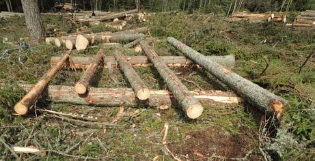 Förbered kontrollmätningen Lägg upp kontrollstockarna mot ett stöd så att du kommer åt med klaven längs hela stocken och hittar dem bland övrigt virke. 2 Avrundning till närmaste heltal.