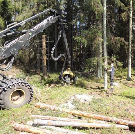 Lämpliga stammar för kalibrering Kalibreringsunderlaget bör utgöras av värden i alla diameterklasser.