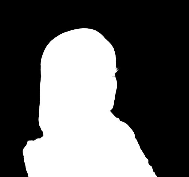 Opinionsbildare 2016