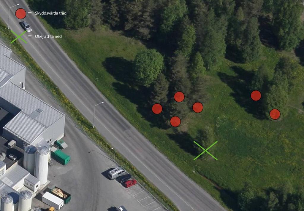 Skydd av bevarandevärda träd Träd som bedömts som bevarandevärda ska skyddas enligt anvisningar i Standard för skyddande av träd vid byggnation. För de träd som är specificerade skall punkten 1.
