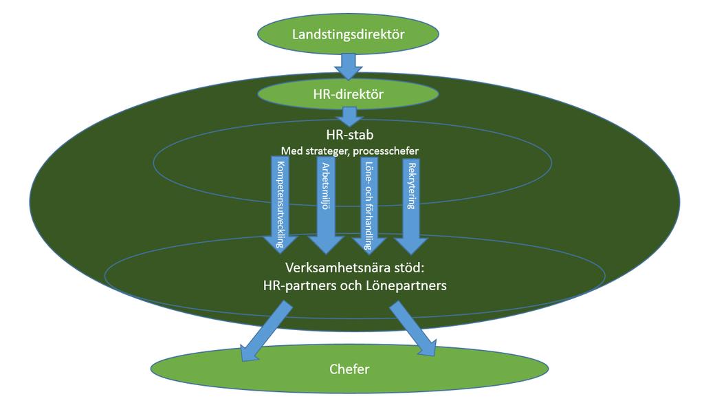 Processcheferna har ansvar för de fyra huvudprocesserna inom HR (rekrytering, lön och förhandling, arbetsmiljö samt kompetensutveckling).