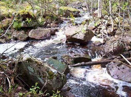 Forsar och vattenfall Definition: Forssträckan ska ha en vattenhastighet på minst 0,7 m/s. I ett vattenfall faller vattnet fritt från minst tre meters höjd.