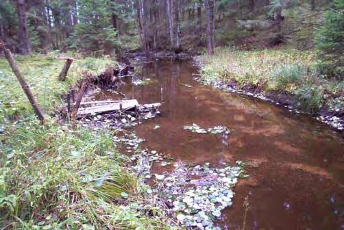 Lugnvattenssträckor Definition: Vattendragssträckan ska domineras av lugnflytande strömförhållanden (klass 3 enligt metoden för biotopkartering i vattendrag) med en vattenhastighet som normalt inte