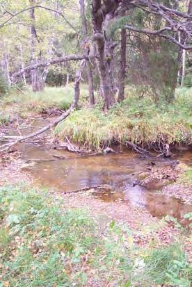 Strömvattensträckor Definition: Vattendragssträckan ska domineras av strömmande eller svagt strömmande strömförhållanden (klass 3 enligt metoden för biotopkartering i vattendrag).