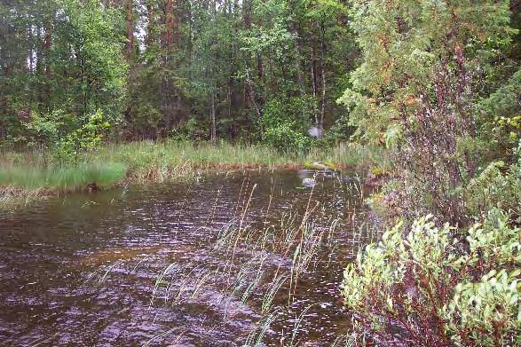 Sjöutlopp Definition: Sjön ska vara större än en hektar.