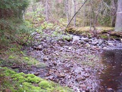 utloppet i Gorgen där