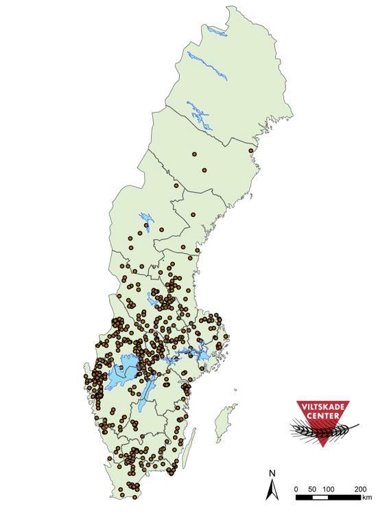 trots att antalet vargar där är relativt litet, vilket framgår av figur 5. De angrepp som sker i Götaland beror sannolikt på vandringsvargar.