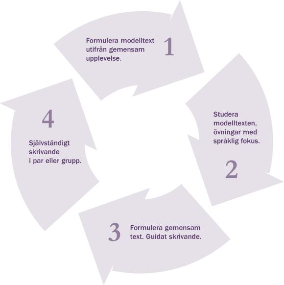7-9 Gym Anpassad cykel för grundläggande litteracitetsundervisning I grundläggande litteracitetsundervisning behöver cykeln för undervisning och lärande anpassas för att möta elevernas behov.