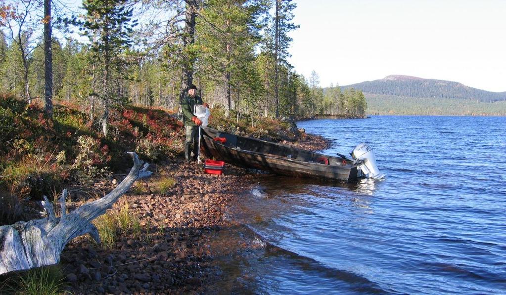 Vuölgåmjåure Avrinningsområde: Skellefte älv Kommun: Arvidsjaur SMHI-id: 728744-162653 EU_CD: SE728744-162653 Medeldjup: 4,0 m (uppskattat) Maxdjup: Sjöyta: 2,0 km 2 Altitud: 436 möh Status