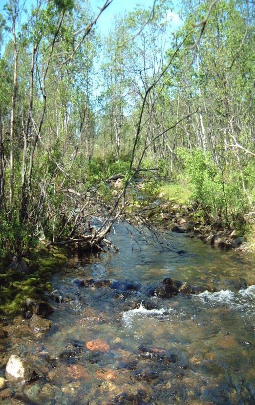 För bottenfauna är statusen god för MISA, men hög för övriga index. Kiselalger visar på hög näringsstatus och arter som föredrar neutrala ph-förhållanden förekommer.