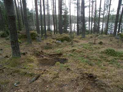 jordarten inom arbetsområdet morän och blockig morän (SGU). Närmast sjön består jorden av silt och andra finare sediment (se bilaga 1).